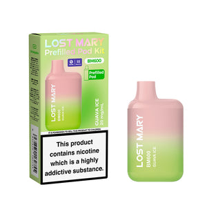 Lost Mary BM600 prefilled pod kit rechargeable vape