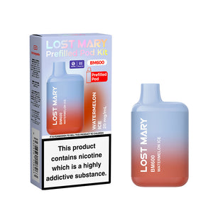 Lost Mary BM600 prefilled pod kit rechargeable vape